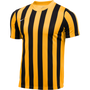 Camiseta Nike Dry Stripe División IV SS