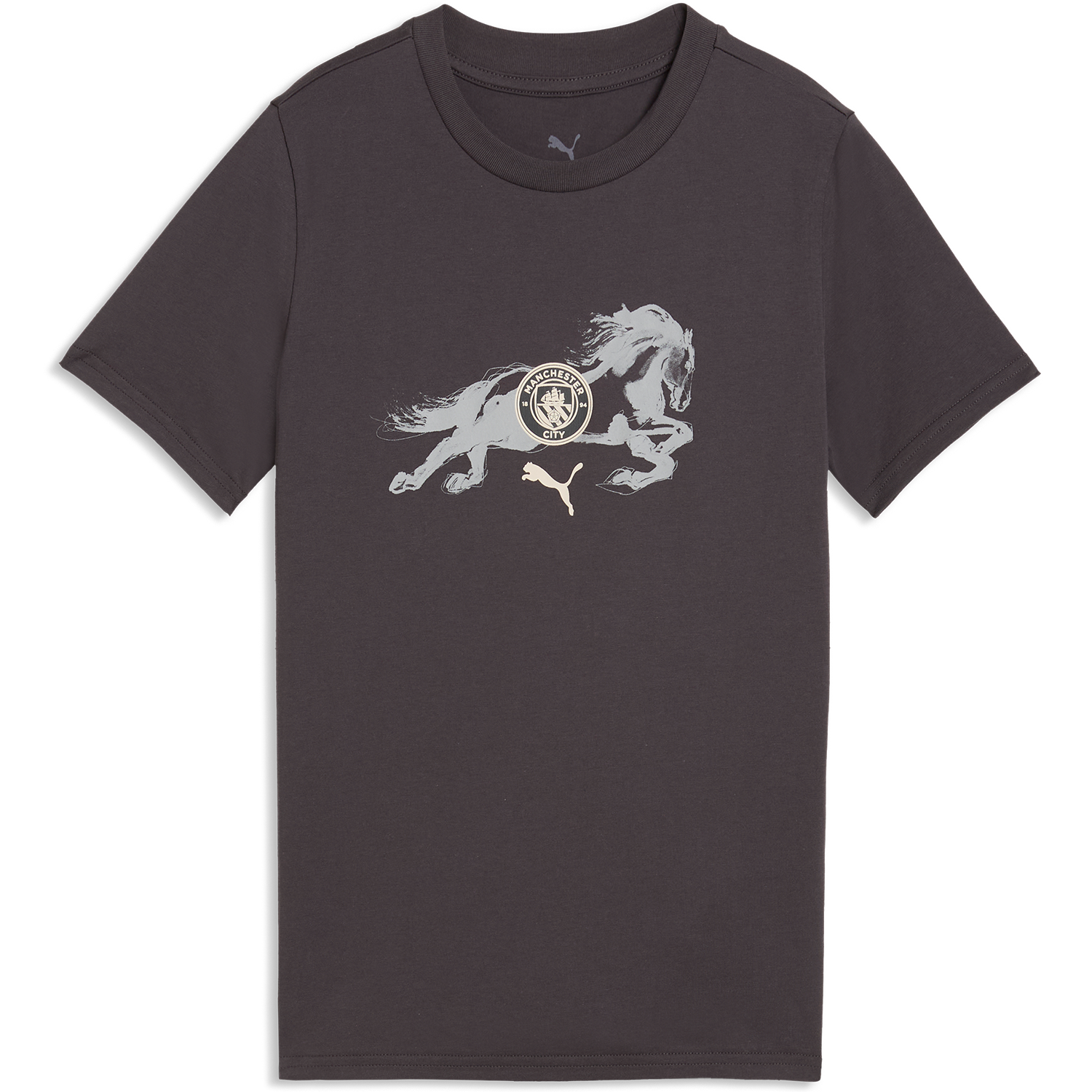 Puma Youth Manchester City Year of Horse Tee