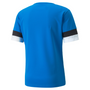 Camiseta Puma Team Rise