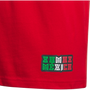 adidas Mexico Youth Away Hook Tee