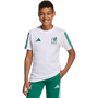 Camiseta adidas México ADN juvenil