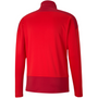 Puma Team Goal Training 1/4 Zip Top