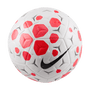 Balón Nike Academy 25