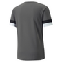 Camiseta Puma Team Rise
