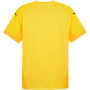 puma Teamfinal Jersey