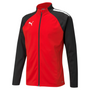 Puma Team Liga 25 Training Jacket