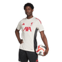 Camiseta de entrenamiento de competición adidas del Liverpool FC para hombre