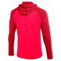 Sudadera con capucha Nike Dri-Fit Academy Pro