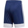 adidas Tastigo 19 Short