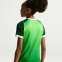 Nike Youth Nigeria Home 2026 Stadium Jersey