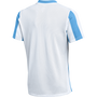Nike Dri-FIT Striped Division V Jersey