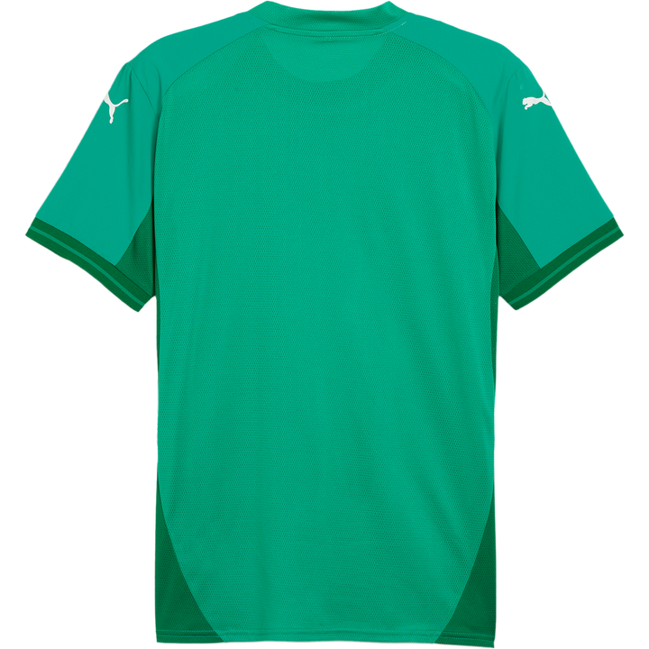 puma Teamfinal Jersey