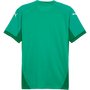puma Teamfinal Jersey
