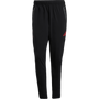 adidas Liverpool FC Tiro 25 Competition Vis Tech Travel Pants