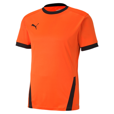 Puma TeamGoal 23 Jersey