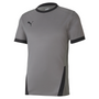 Camiseta Puma TeamGoal 23