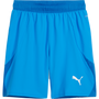 puma Teamfinal Short