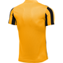 Camiseta Nike Dry Stripe División IV SS