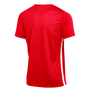 Nike Dri-Fit 22 Challenge IV Jersey