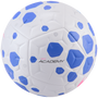 Balón Nike Academy 25