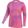 Nike Dri-FIT Gardien VI Long Sleeve Goalkeeper Jersey