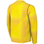 Nike Dri-FIT Gardien VI Long Sleeve Goalkeeper Jersey