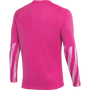 Nike Dri-FIT Park V Long Sleeve Goalkeeper Jersey