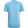 Camiseta adidas Campeón 21