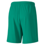 Puma TeamGoal 23 Knit Short