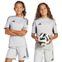 adidas Tiro 25 Competition Match Jersey