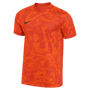 Camiseta Nike Precision VII Dri-FIT