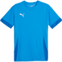 Puma TeamGOAL Matchday Jersey