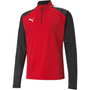 Puma Team Liga 25 Quarter Zip Top
