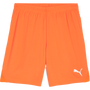 Pantalón corto Puma TeamGOAL