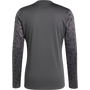 Adidas Team Icon 25 Long Sleeve Jersey