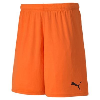 Puma TeamGoal 23 Knit Short