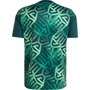 adidas Men's Mexico Home Pre-Match Jersey
