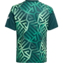 adidas Youth Mexico Home Pre-Match Jersey
