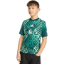 adidas Youth Mexico Home Pre-Match Jersey