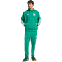 adidas Mexico DNA Fleece Hoodie - Bold Green
