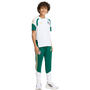 adidas Italia Camiseta de Entrenamiento Tiro 26 para Jóvenes