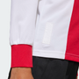 adidas Youth Ajax Amsterdam 125th Anniversary Ls Jersey
