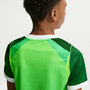 Nike Youth Nigeria Home 2026 Stadium Jersey