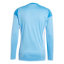 adidas Tiro25 Competition Long Sleeve Goalkeeper Jersey