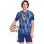 adidas Men's Spain Home Pre-Match Jersey