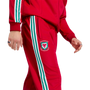 adidas Men's Wales 150th Anniversary Track Pants