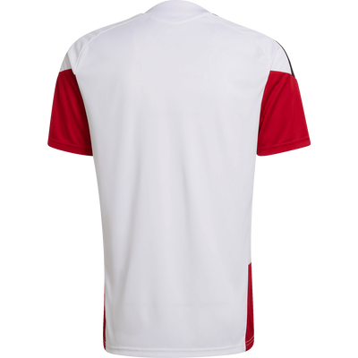 adidas Men's Germany Tiro 26 Training Jersey
