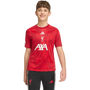 adidas Men's Liverpool FC Pre-Match 2026-27 Jersey