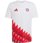 adidas FC Bayern Munich Anthem Graphic Tee