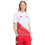 adidas FC Bayern Munich Anthem Graphic Tee